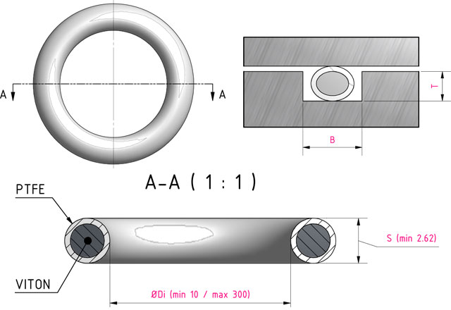 Teflon fep o ring (2).jpg